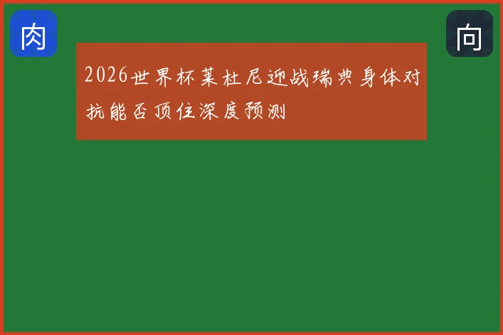 2026世界杯莱杜尼迎战瑞典身体对抗能否顶住深度预测